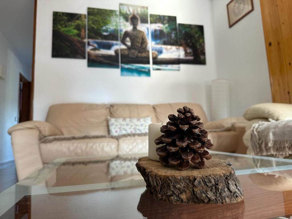 Apartamento Can Giru Тордера Экстерьер фото
